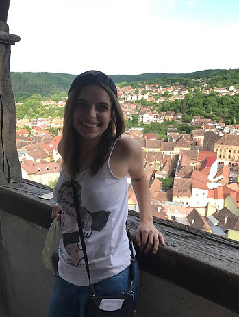 View of Sighisoara from the top of it's 