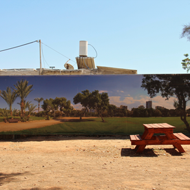 Al-Manshiyya: Desert Bloom or Bust