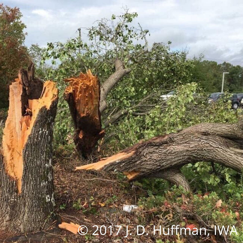 Shelby, NC Tornado Damage