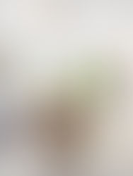 5 טיפים לתכנון נכון של מטבח