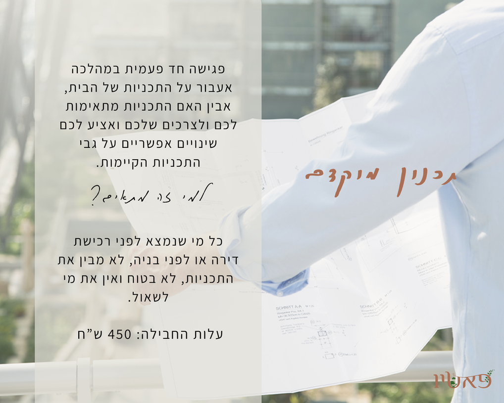 חבילת ייעוץ לתכנון מוקדם