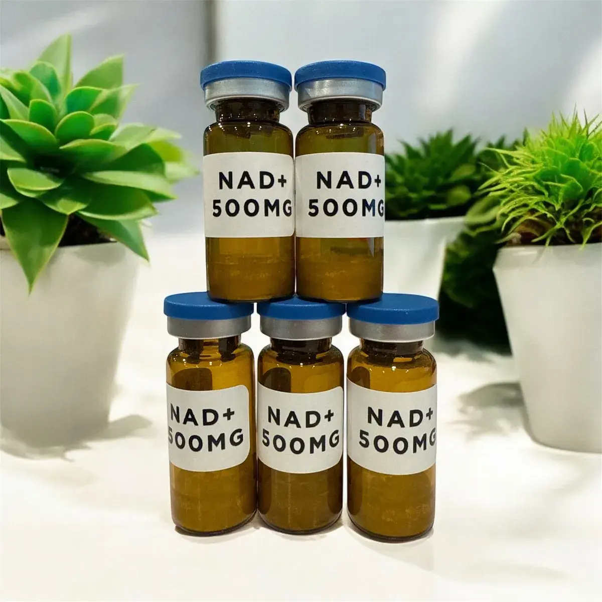 NAD+ 500