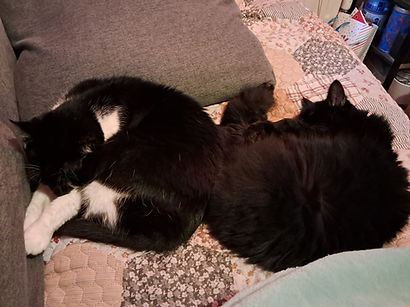 20251226_235818.jpg