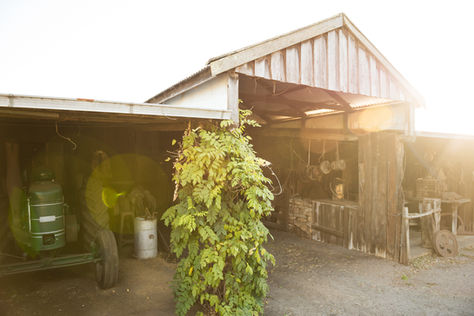 OUR FARM