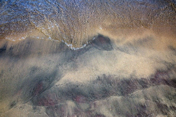 Inscape: Scarborough’s Shoreline Parks Exhibition