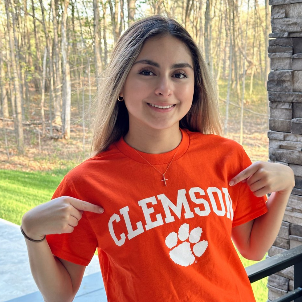 Untitled design (2).png