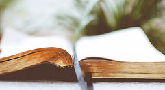 Bible-by-ben-white-scaled.jpg