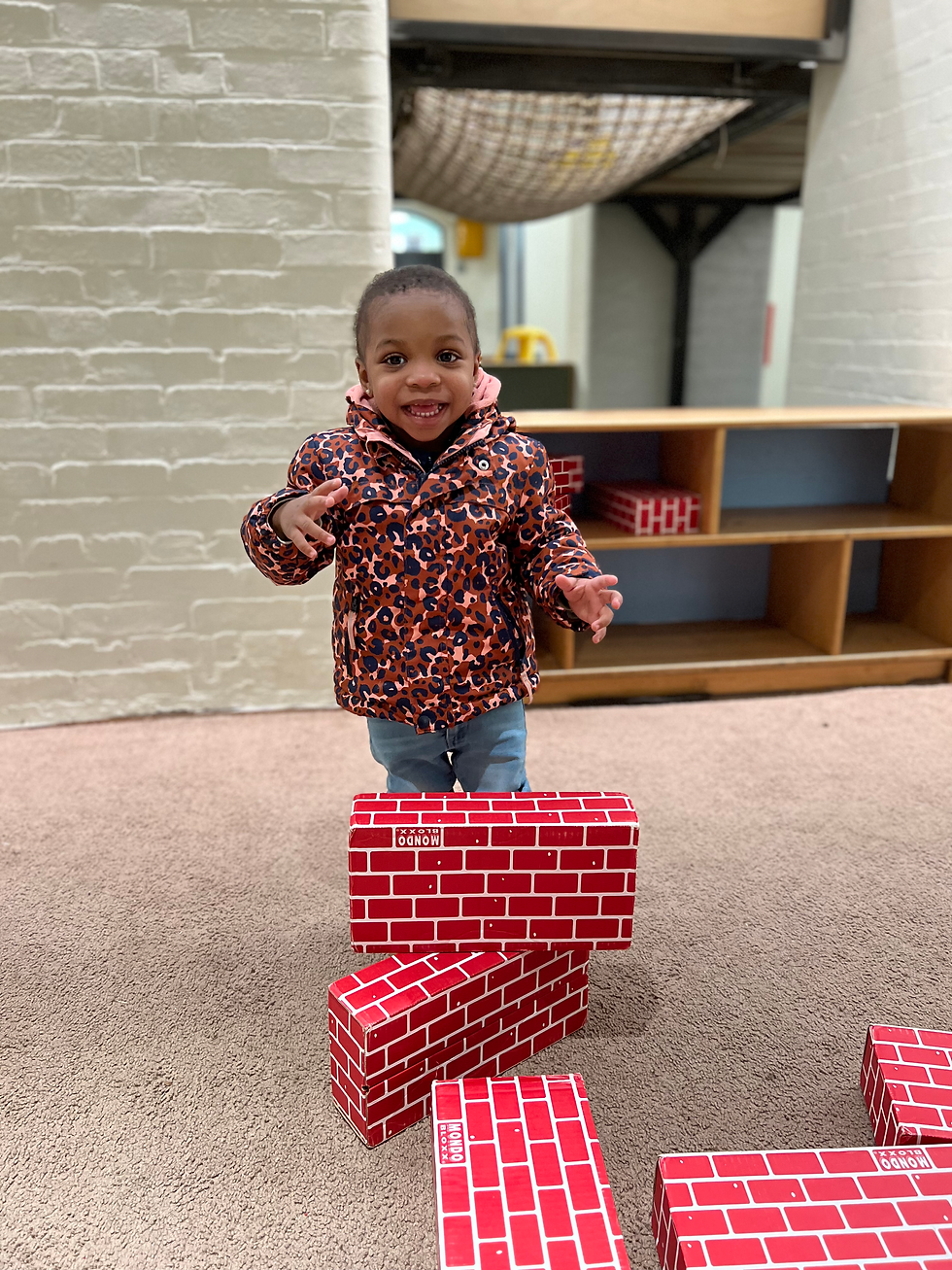Sophia building using bricks