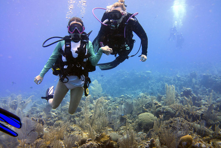 Roatan Past - 2019-10-01 20.54.31 (Jason E.).jpg