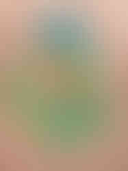 Vogel met pastelkrijt