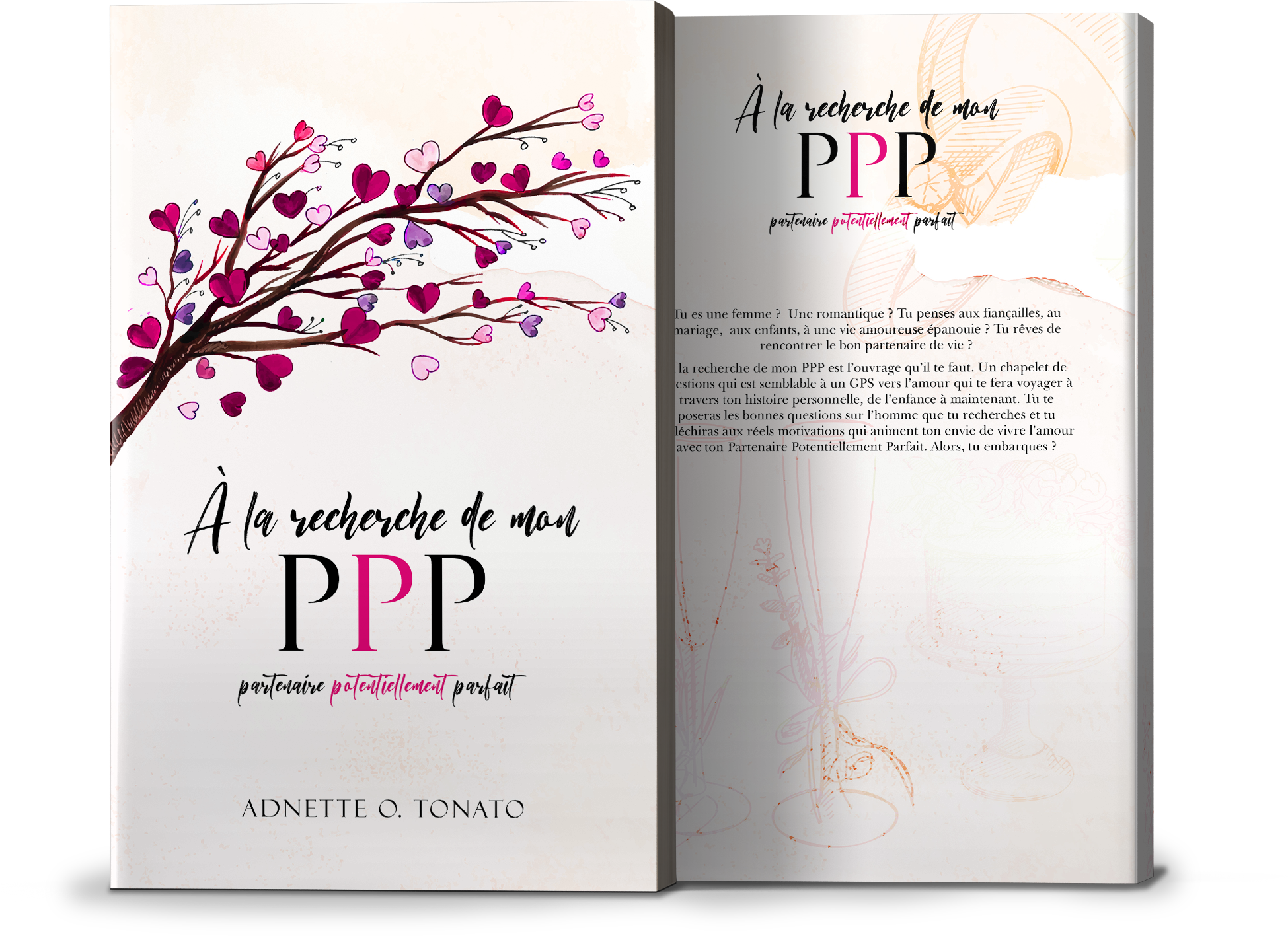 À la recherche de mon PPP