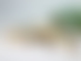 Pensionen in Österreich werden richtig teuer!