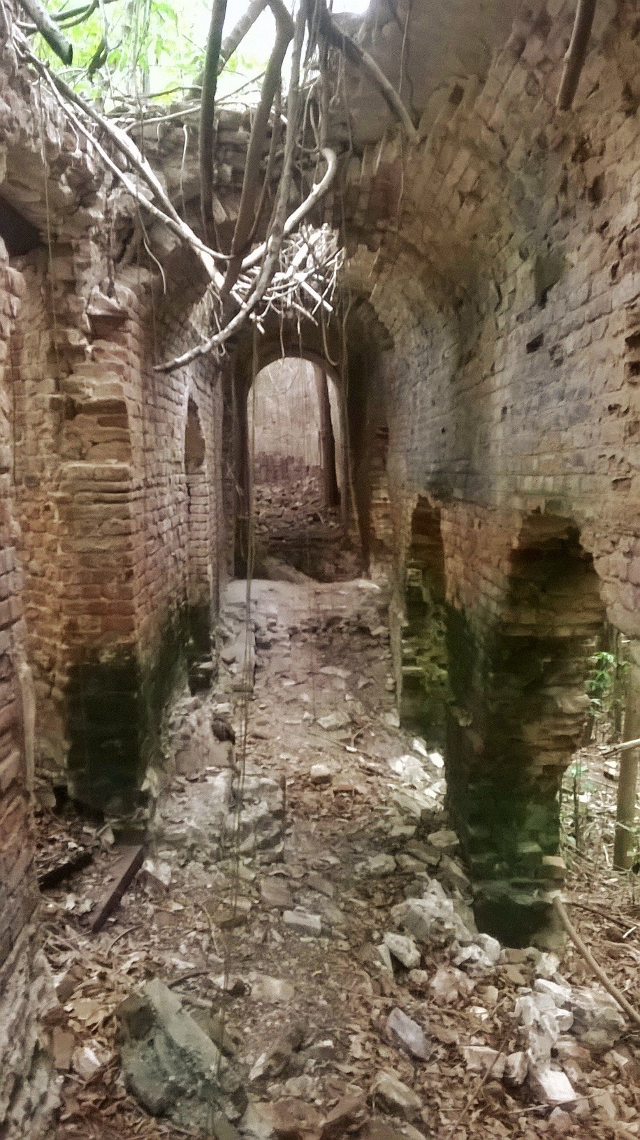 The Sugar Mill Ruins
