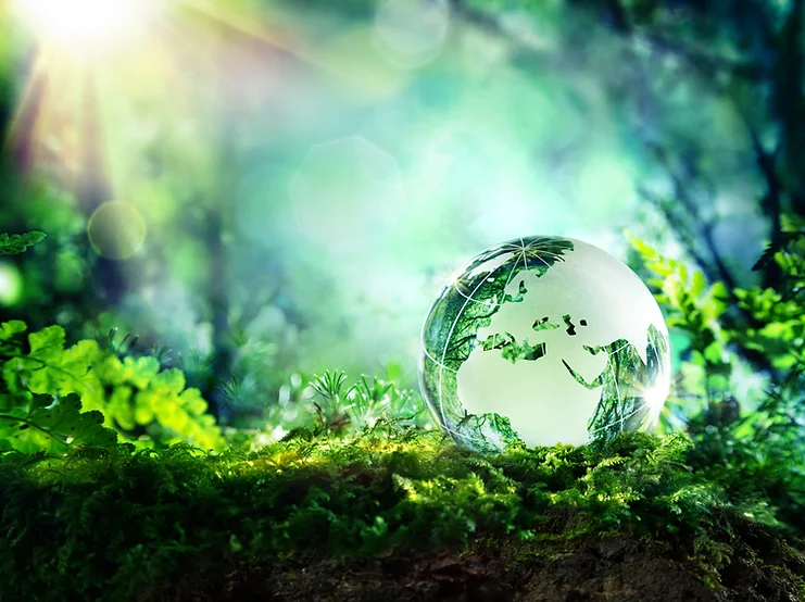 Consumer Insights: Forest Industry Must Build Trust Throughout The Value Chain - All The Way Through