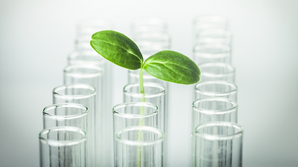 Why Are So Few Pharma Companies Ranked Among The 100 Most Sustainable Companies In The World?