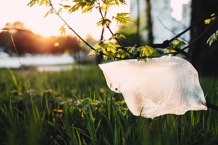 Will plastic pollution help save the planet? And sell more pulp?