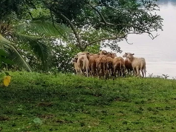 imagen sin título