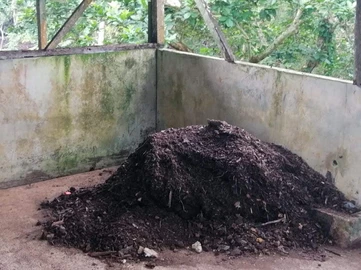 imagen sin título