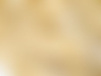 Four Cheese Farfalle