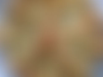 Spinach & Artichoke Stuffed Shells