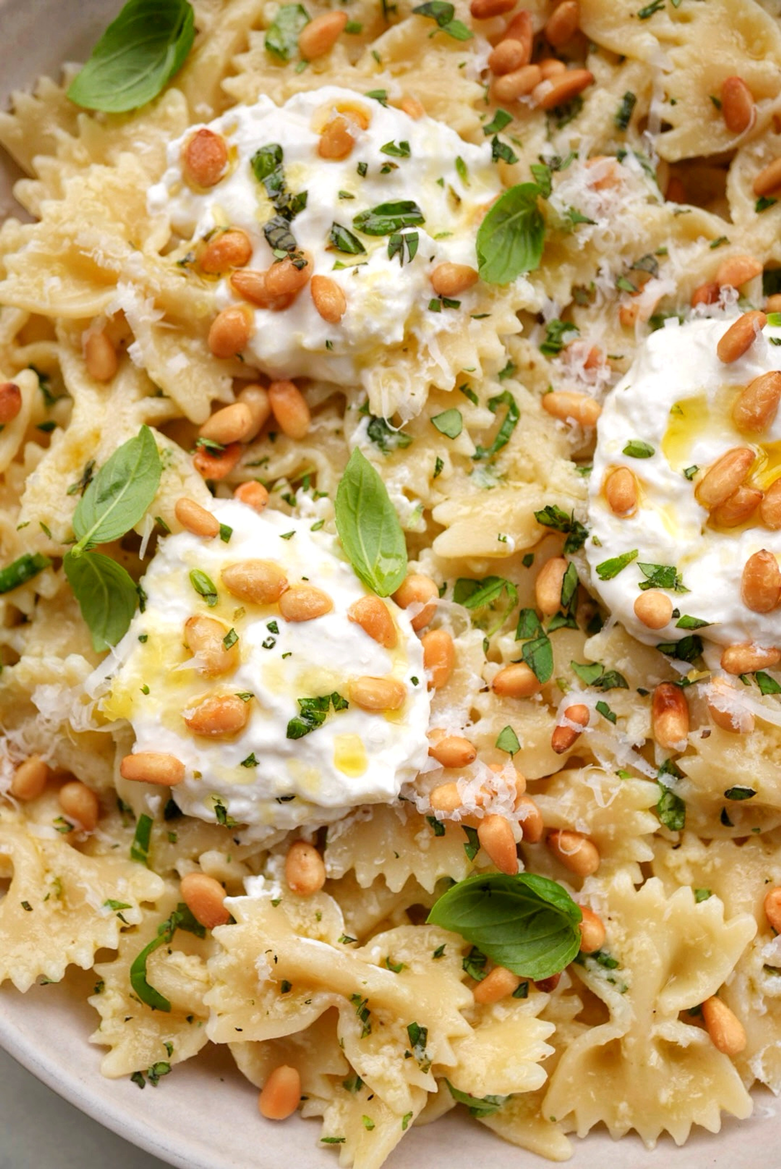 Lemon Herb Burrata Farfalle lemon-herb-burrata-farfalle