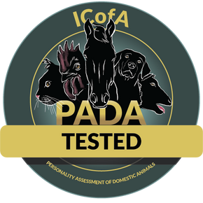 PADA er en vurdering om dyr egner seg til å arbeide med mennesker. Freia er testet og godkjent, og sommeren 2025 ble begge hestene vurdert og funnet egnet til DaTi.