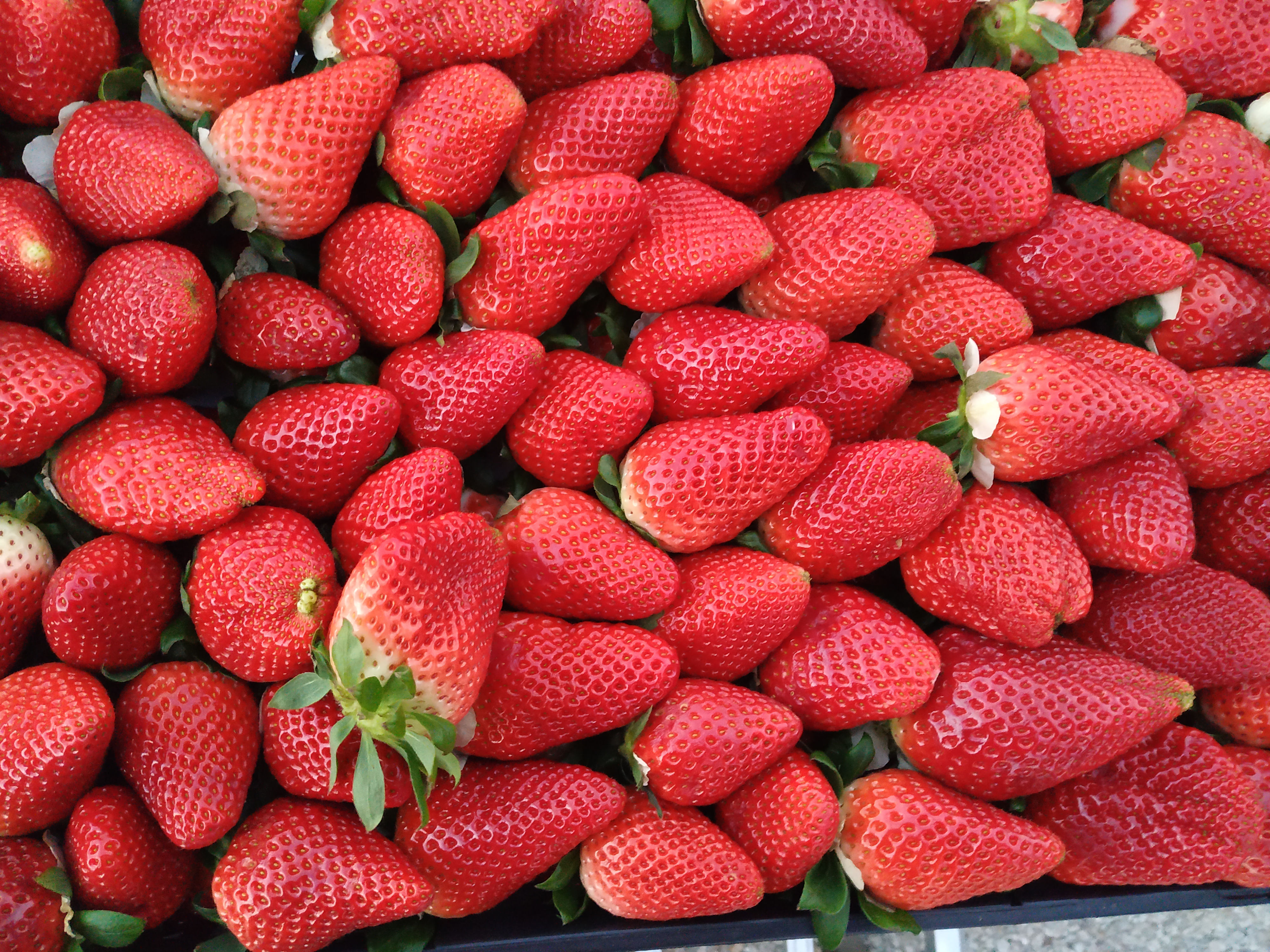 Morangos 500g