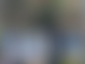 Jalutuskäik metsa alla.