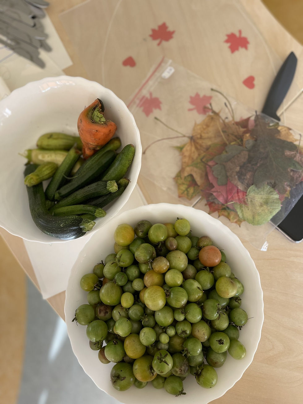 Salat haldjatele