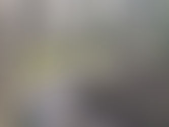 Pähklite rühma esimene kevadine õppekäik