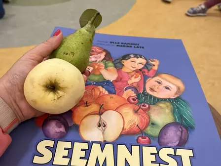 Puuviljad Käbide rühmas.