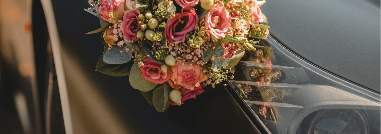 janosch-diggelmann-o3hKL2EWyi4-unsplash_