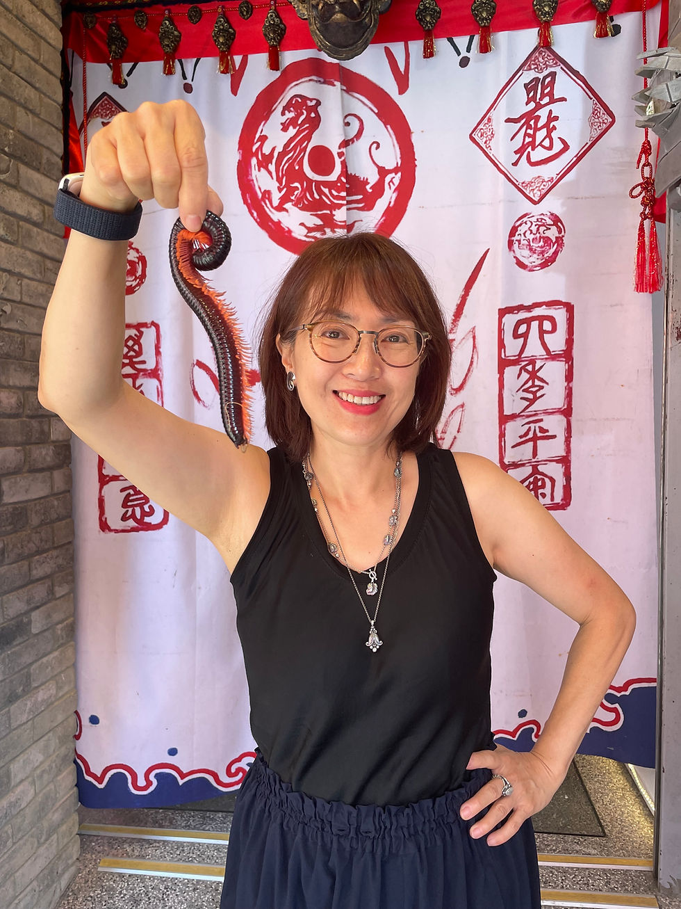 「九份鬼怪傳說特展X怪獸博物館｜20公分巨型馬陸挑戰你的膽量！」