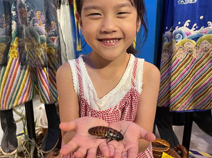 「比手機還大的蟑螂?!😱 馬達加斯加蟑螂震撼登場|九份鬼怪傳說特展 × 怪獸博物館」