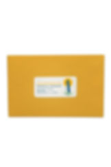 Thumbnail: Laser/Inkjet COVER-ALL™ White Shipping Labels, 2" x 4", 10/Sheet, 5000 Labels/Bx
