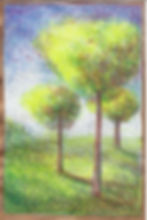 Trees with Crewcut