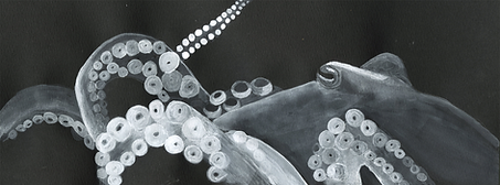 Higgins White Octopus on Black paper