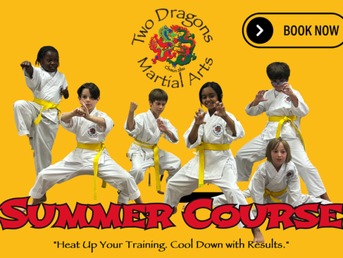 Summer Fast-Track Martial Arts Training