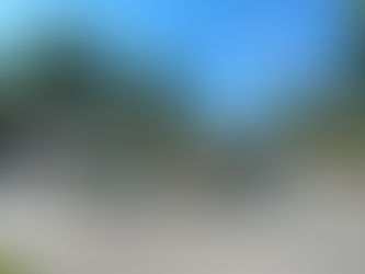 7 Insider-Tipps für Seekirchen am Wallersee