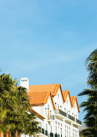 Majestic building with palmtrees