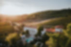 drone image of house with swimming pool, surrounded by vineyards