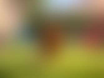 Get Ready for Zoomies: The Exciting Launch of the Mobile Game You Can't Miss
