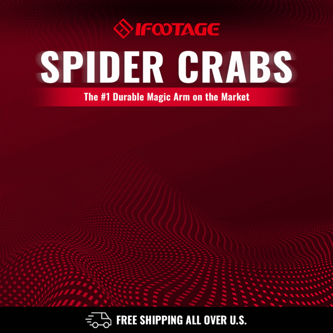 IFOGD---Spider-Crabs-2