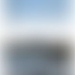 琉球弧世界遺産フォーラム「やんばるの地域遺産と活用」開催