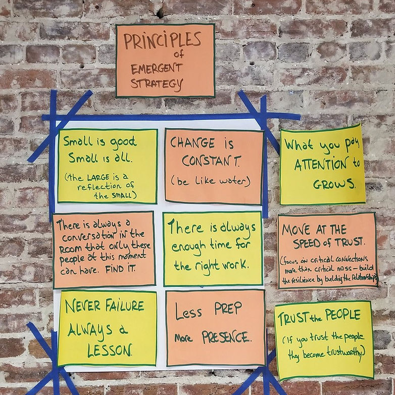emergentstrategyprinciples.jpg