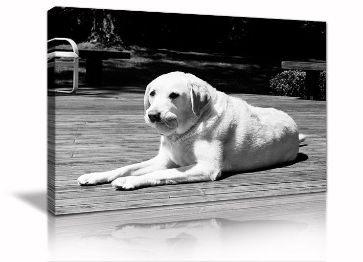 Thumbnail: Custom Canvas Prints