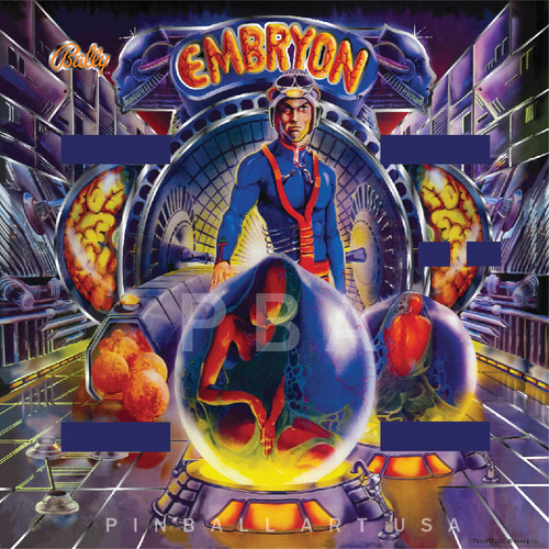 Embryon 1981 Bally Pinball Art USA