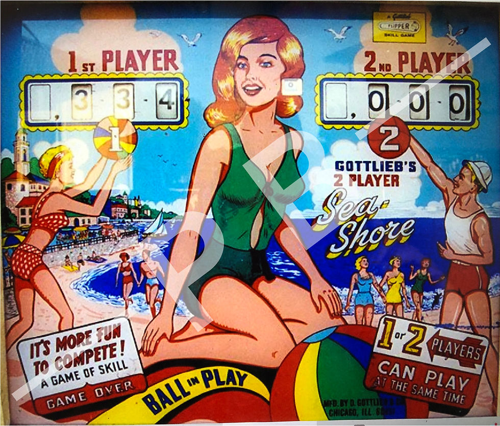 Sea Shore 1964 Gottlieb Backglass Pinball Backglass