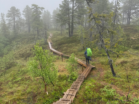 Tag 11 auf dem Østerdalsleden - Holzstege, Matsch und ein kleines Paradies