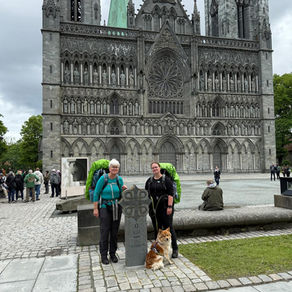 Tag 13 auf dem Østerdalsleden - Ankunft in Trondheim – ein Ziel, viele Gefühle